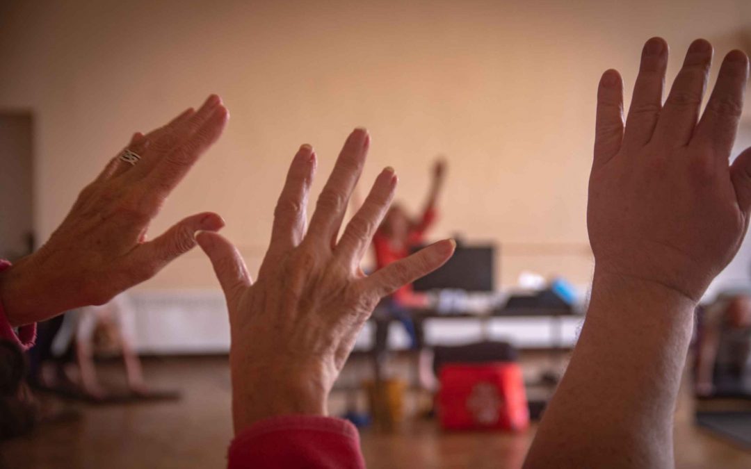 Volunteer Training Day Jan 2025